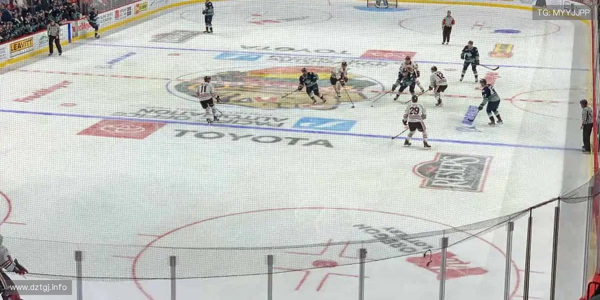 精彩纷呈,尽在影视娱乐!🎥✨